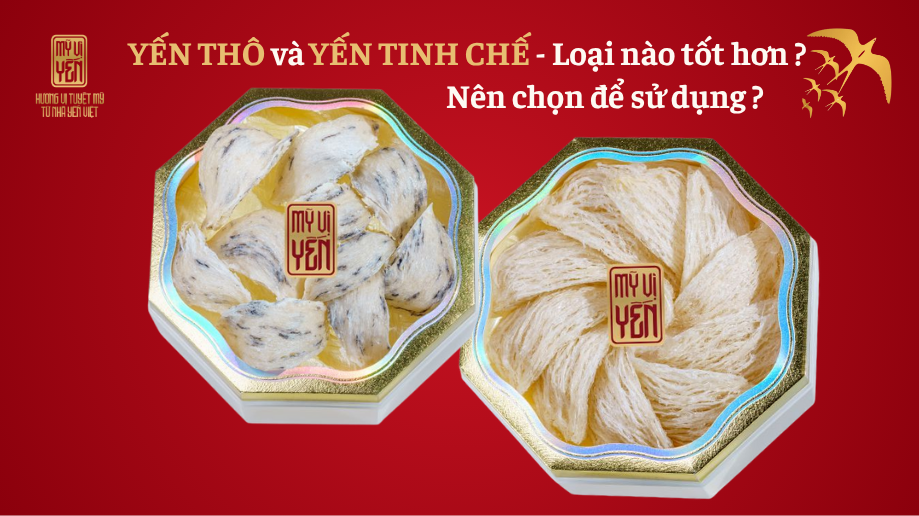 Tham khao yen sao tai 11