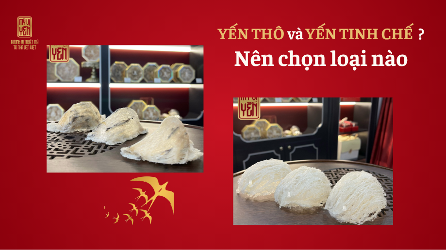 Cách chưng tổ Yến ngon bảo quản được lâu nhất