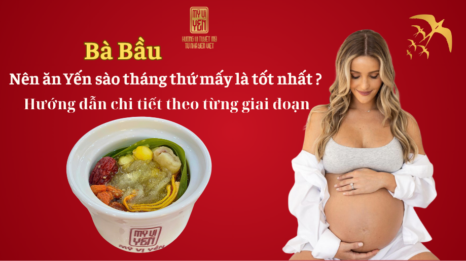 Bà Bầu Nên Ăn Yến Sào Tháng Thứ Mấy Là Tốt Nhất? Hướng dẫn chi tiết theo từng giai đoạn thai kì