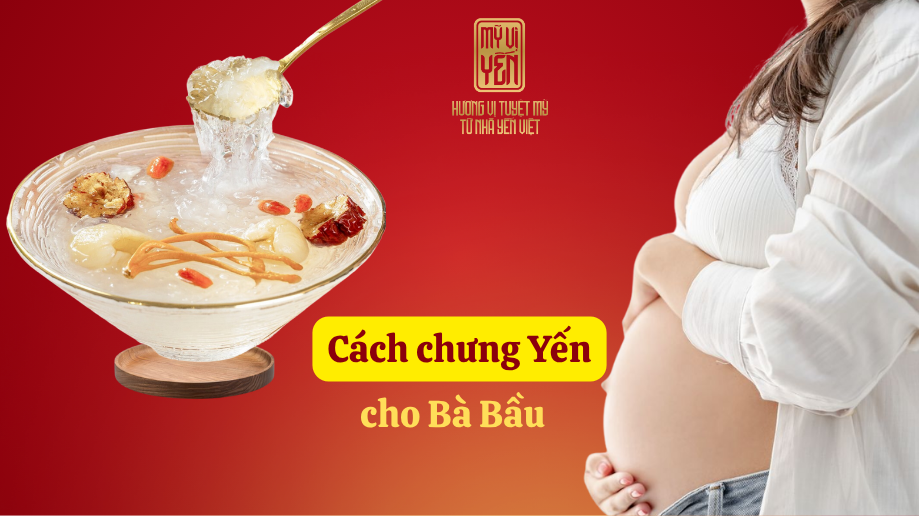 Bà Bầu Nên Ăn Yến Sào Tháng Thứ Mấy Là Tốt Nhất? Hướng dẫn chi tiết theo từng giai đoạn thai kì