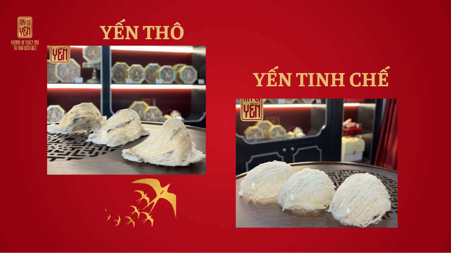 Giá tổ yến sào thô tại Nha Trang