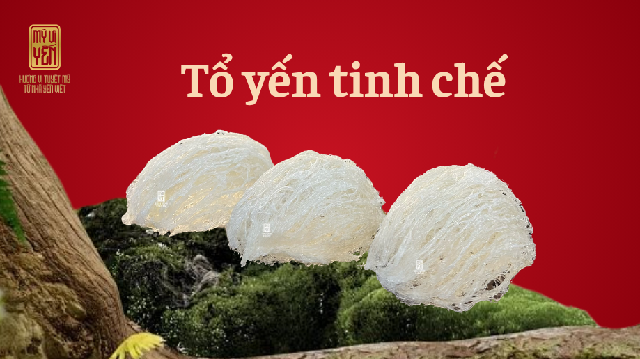 Tổ yến tinh chế Khánh Hòa