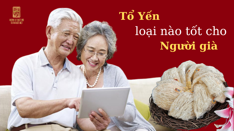 Tổ yến loại nào tốt cho người già ?