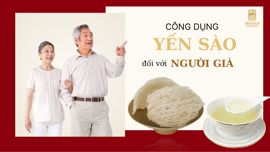 Người già ăn yến sào có lợi ích gì cho sức khỏe?