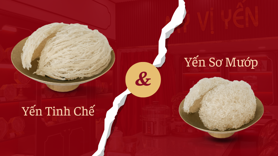 Tổ yến loại nào tốt cho người già ?