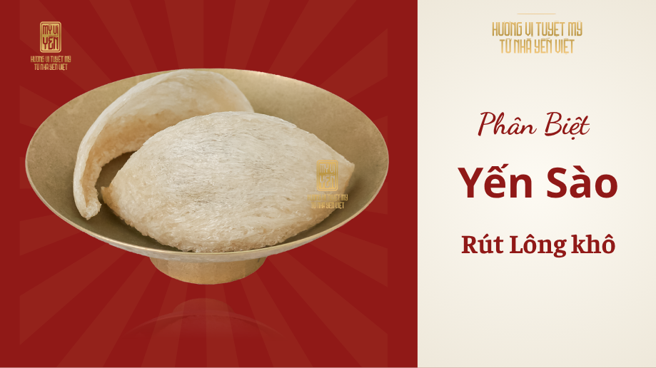 Phân biệt Yến rút lông khô : Cách nhận biết & lưu ý khi mua