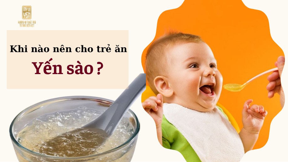 Khi nào nên cho trẻ ăn yến sào? Lứa tuổi phù hợp & cách dùng an toàn cho bé