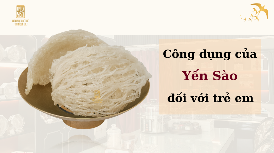 Khi nào nên cho trẻ ăn yến sào? Lứa tuổi phù hợp & cách dùng an toàn cho bé