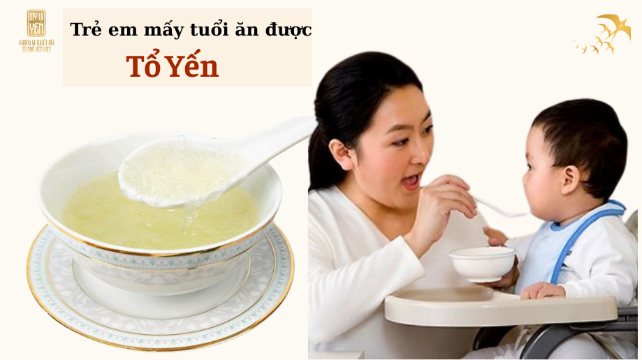 Khi nào nên cho trẻ ăn yến sào? Lứa tuổi phù hợp & cách dùng an toàn cho bé