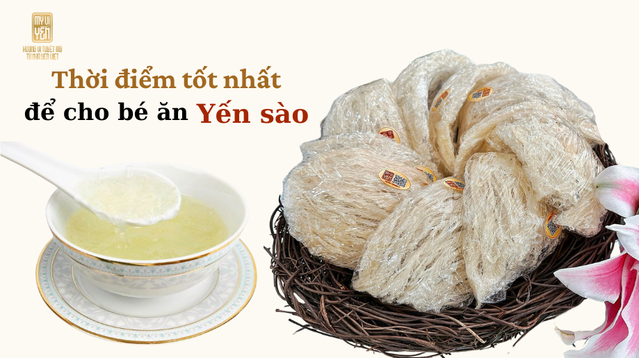Khi nào nên cho trẻ ăn yến sào? Lứa tuổi phù hợp & cách dùng an toàn cho bé