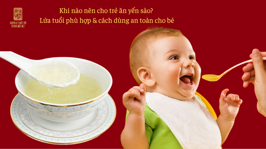 Khi nào nên cho trẻ ăn yến sào? Lứa tuổi phù hợp & cách dùng an toàn cho bé