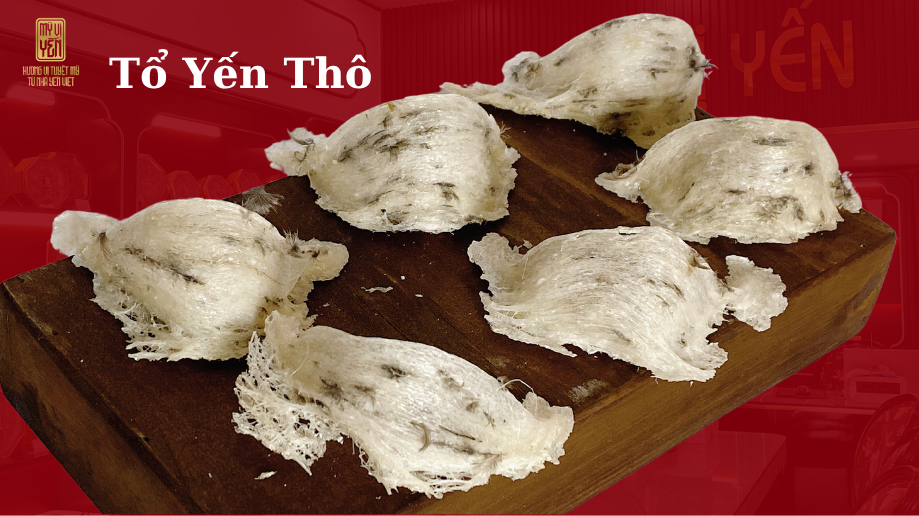 Tổ yến thô Khánh Hòa giá bao nhiêu ?