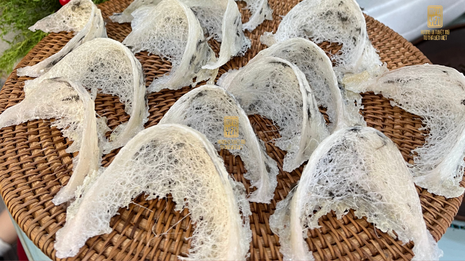 Tổ yến thô Khánh Hòa giá bao nhiêu ?