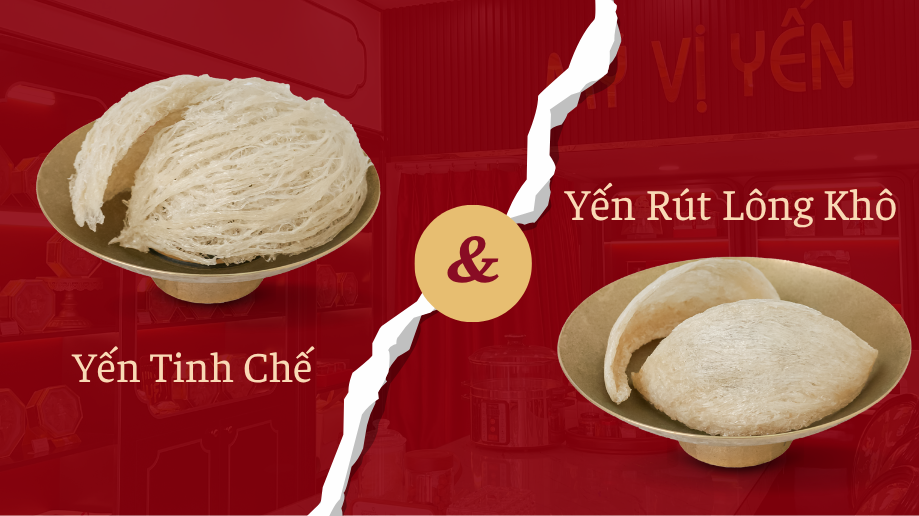 Phân biệt Yến Tinh Chế và Yến Rút Lông Khô?