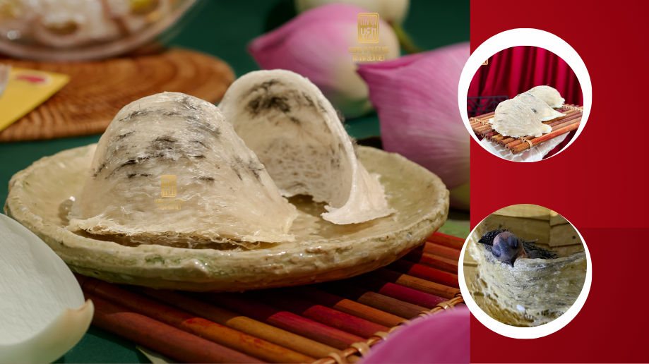 Giá tổ yến sào thô tại Nha Trang