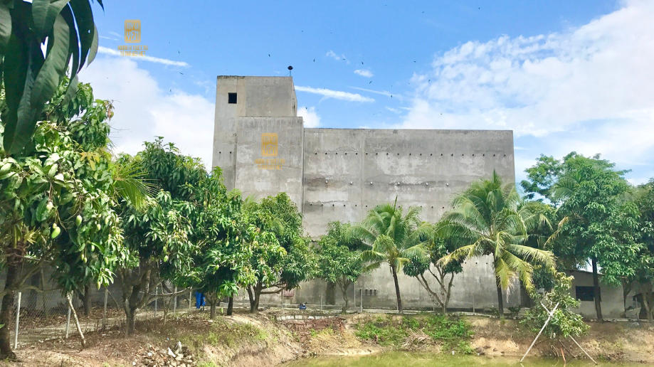 Giá tổ yến sào thô tại Nha Trang