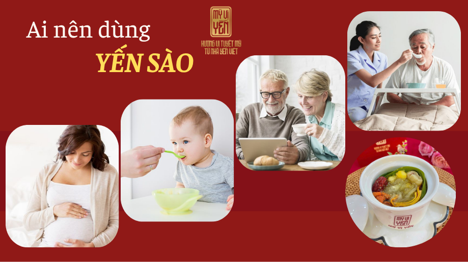 Mua tổ Yến thô tại Sài Gòn uy tín, chất lượng