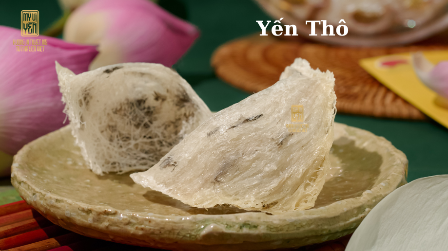 Giá tổ yến sào thô tại Nha Trang