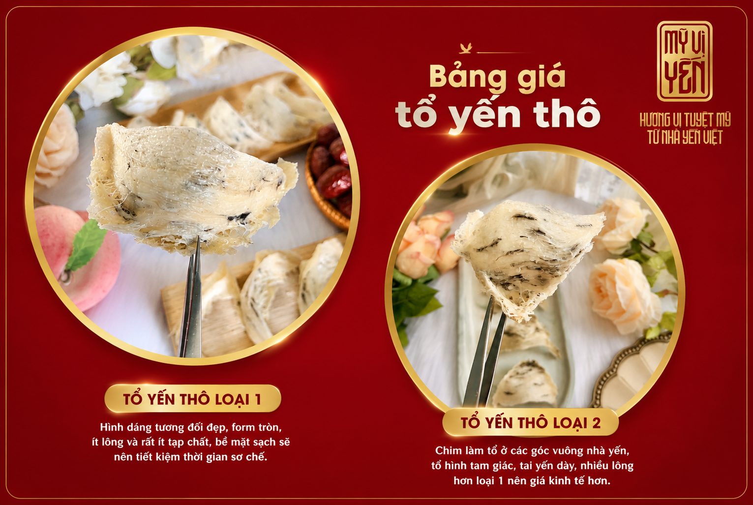 Giá yến thô Khánh Hòa