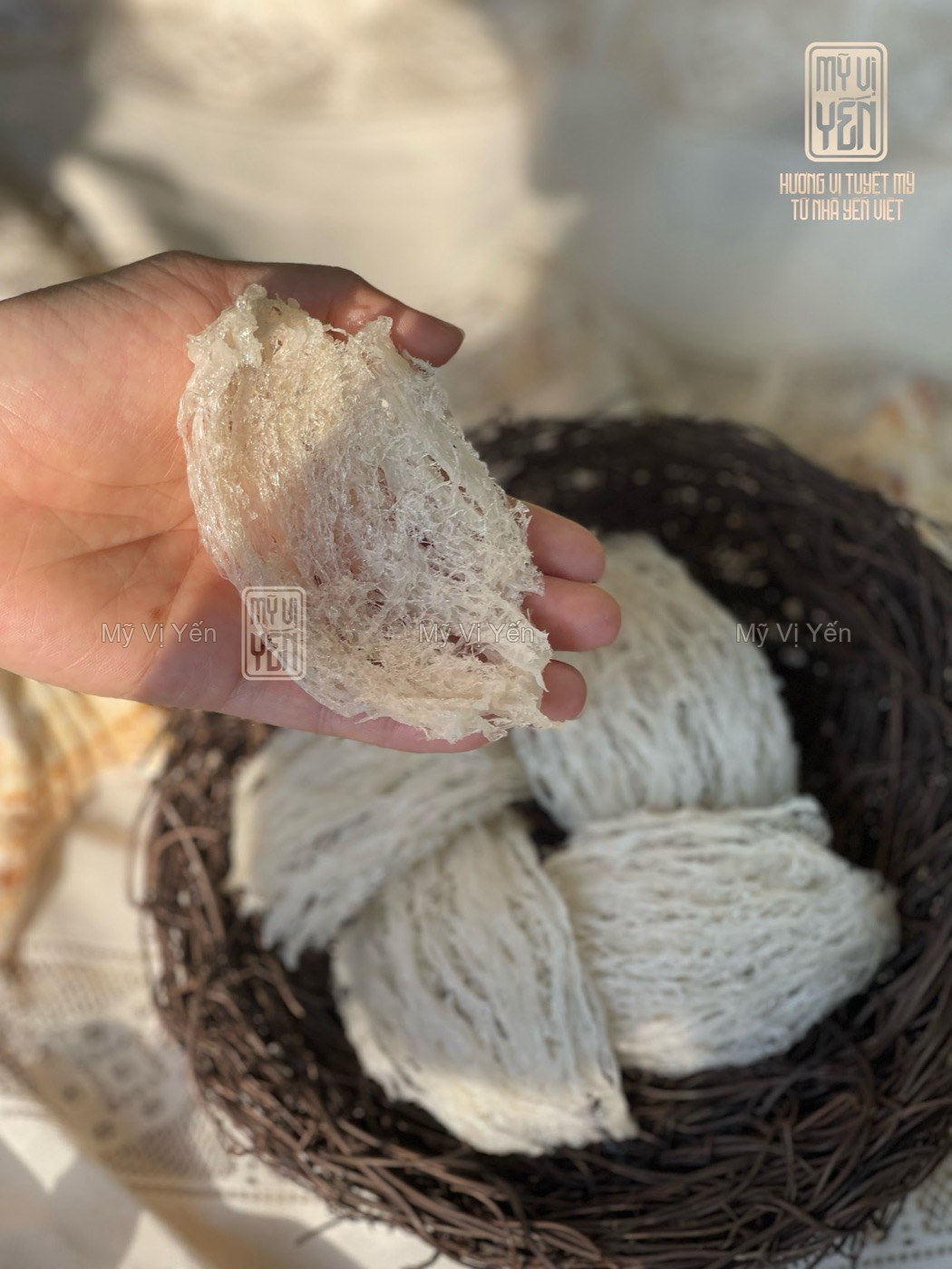 Tổ Yến Tinh Chế 2 Cận cảnh tổ yến tinh chế Mỹ Vị Yến
